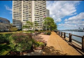 Downtown Detroit Luxury Apartment with Riverview of Canada